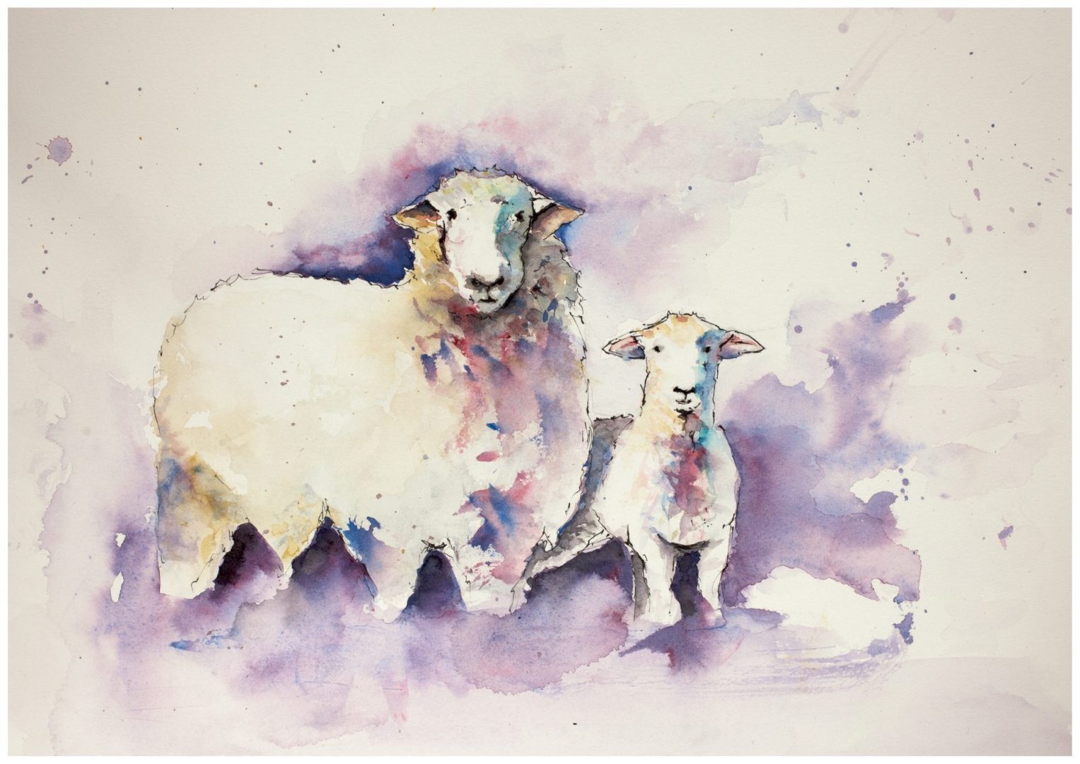 1527x1080 Sheep Amp Lamb (Original) - Lamb Watercolor