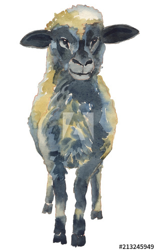 313x500 The Lamb Watercolor Hand Painted Illustration - Lamb Watercolor