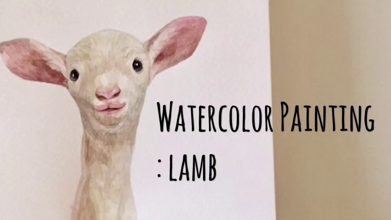 1280x720 Watercolor Speed Painting Lamb - Lamb Watercolor