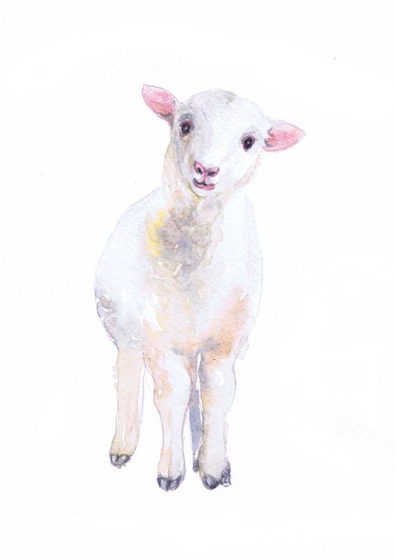 570x803 Baby Sheep Painting Lamb Art Watercolor Farm Nursery Decor Print - Lamb Watercolor