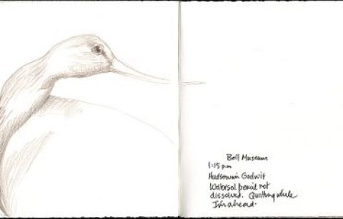 480x307 Lana Aquarelle 140 Lb. Hot Press Watercolor Paper Rozwoundup - Lana Watercolor Paper