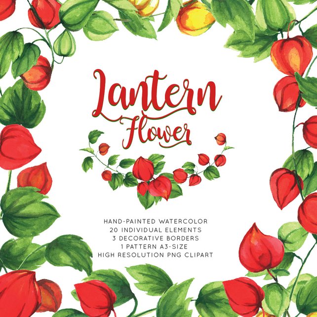 642x643 Red Lantern Watercolor Flower Hand Painted Png Floral Wedding Etsy - Lantern Watercolor