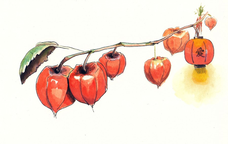 900x568 Sketchy Day Chinese Lantern - Lantern Watercolor