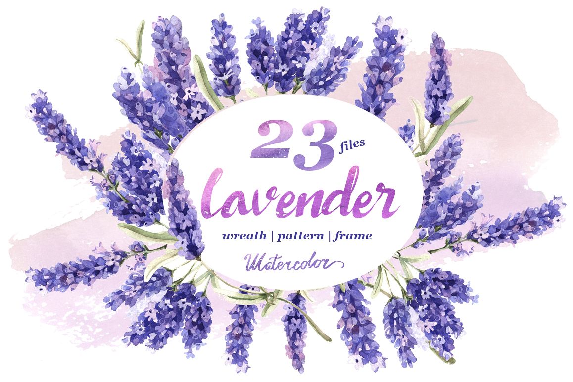 1158x772 Lavender Png Flowers In Watercolor - Lavender Watercolor