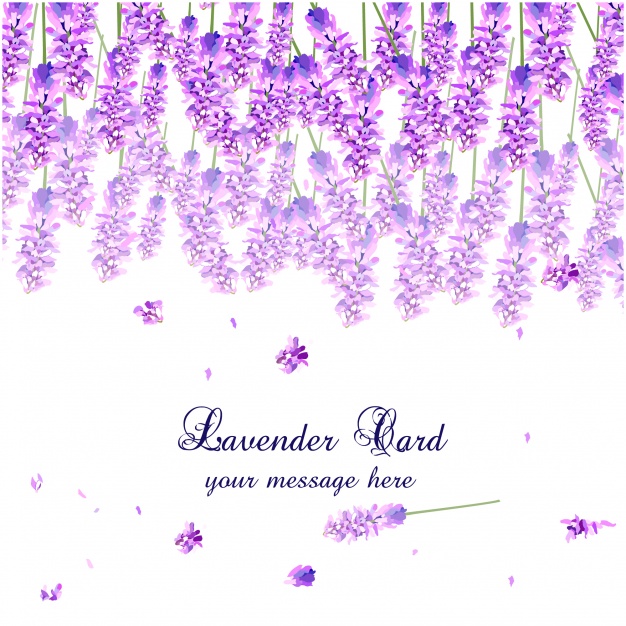 626x626 Lavender Watercolor Card Design Vector Free Download - Lavender Watercolor