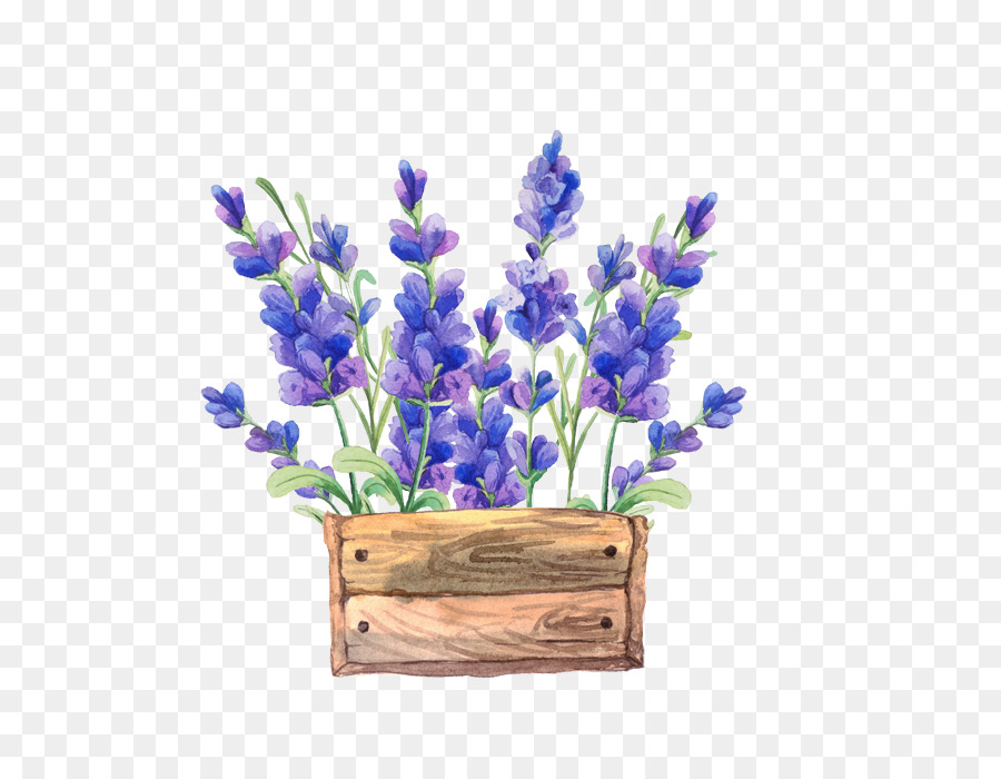 900x700 Paper Watercolor Painting Flower Lavender - Lavender Watercolor