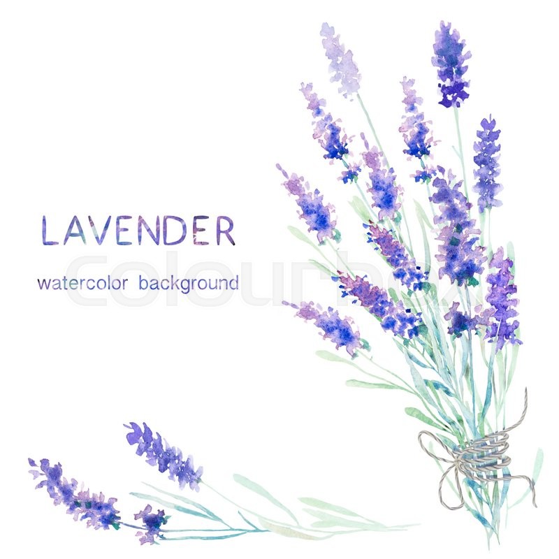 800x800 Watercolor Lavender Background. Card, Greeting Cards, Invitations - Lavender Watercolor