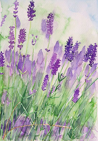 418x600 Lavender Watercolor~ Parfum De La By Andrea Fettweis - Lavender Watercolor