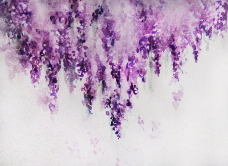900x655 Images Of Lavender Watercolor - Lavender Watercolor