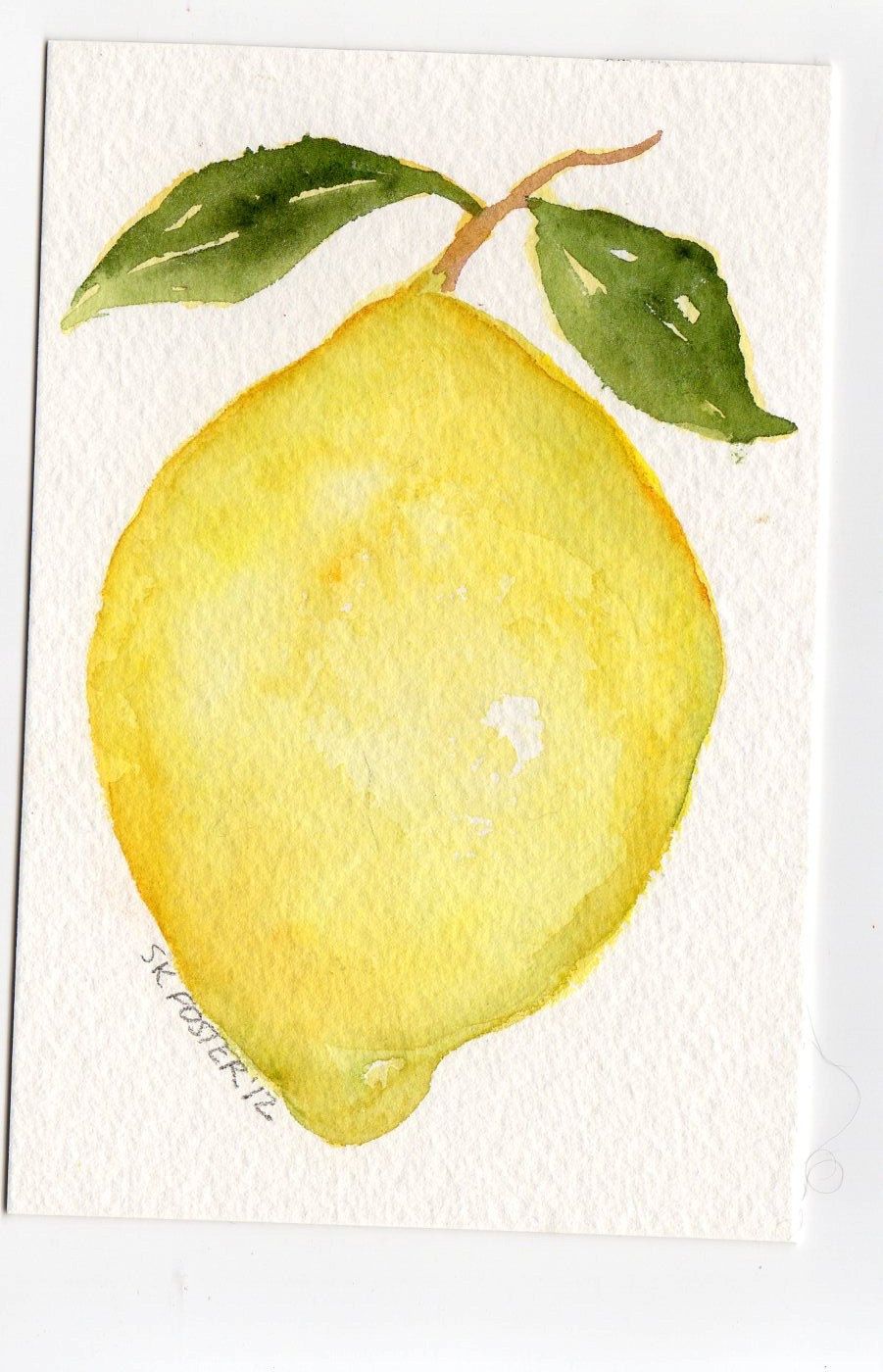901x1400 Lemon Watercolor Painting Original, Fruit Watercolors 4 X 6 Modern - Lemon Watercolor