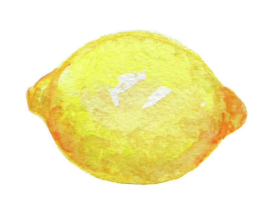 900x677 Lemon Watercolor Painting By Olena Belchishche - Lemon Watercolor