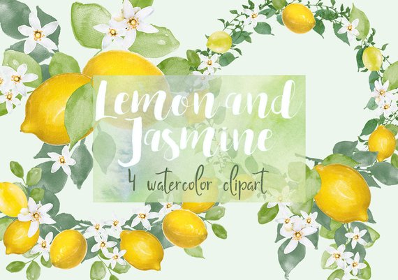 570x401 Lemon And Jasmine Lemon Watercolor Watercolor Clipart Etsy - Lemon Watercolor