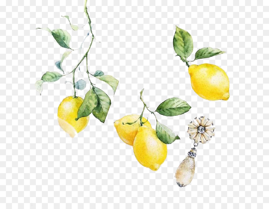 900x700 Visual Arts Lemon Watercolor Painting Illustration - Lemon Watercolor