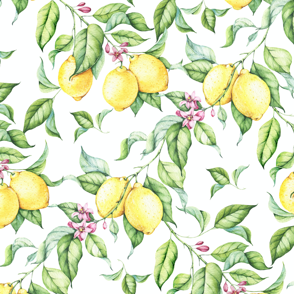 1024x1024 Watercolor Lemon Wallpaper (Removable) Rocky Mountain Decals - Lemon Watercolor