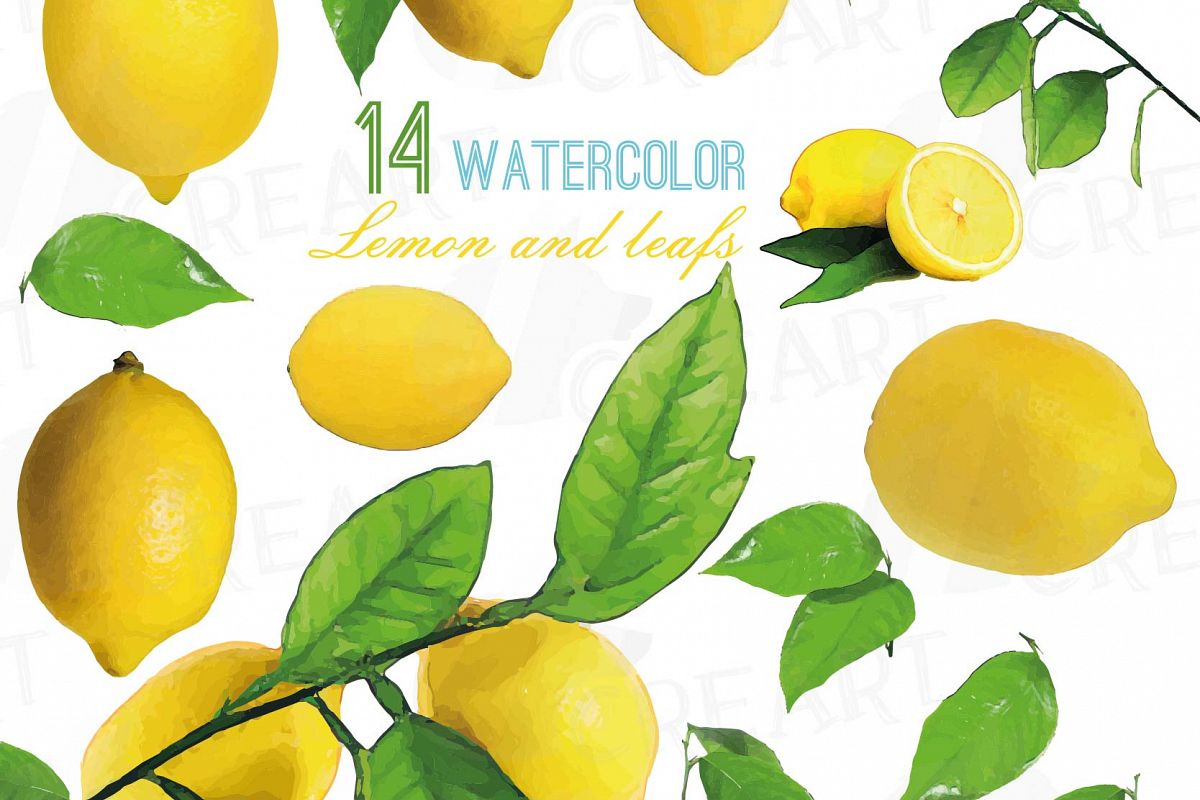 1200x800 Watercolor Lemons, Branch And Leaves Clip Art Pack, Watercolor - Lemon Watercolor