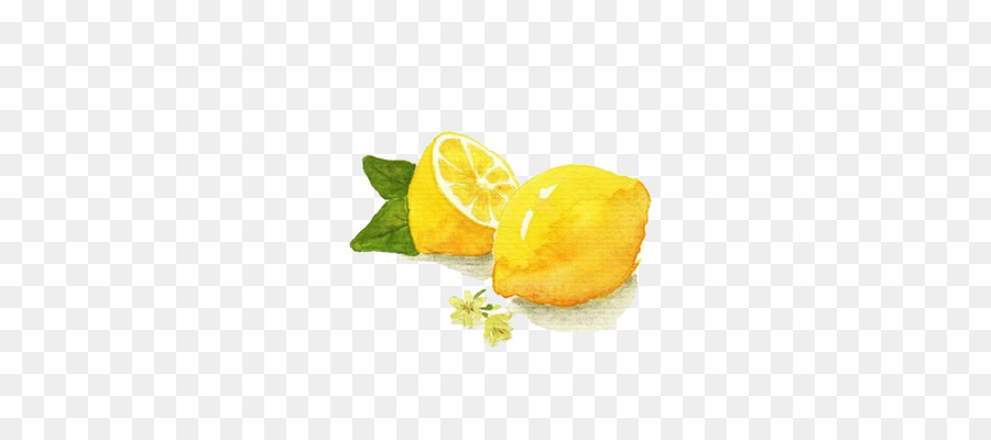 900x400 Watercolor Painting Lemon Illustration - Lemon Watercolor