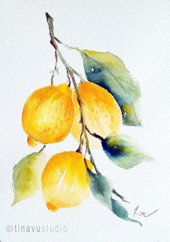 570x812 Lemon Painting. Lemon Art. Original Watercolor Painting. Fruit - Lemon Watercolor Painting