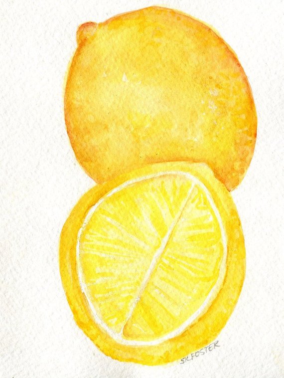 570x758 Lemons Watercolor Paintings Original Small Fruit Painting Etsy - Lemon Watercolor Painting