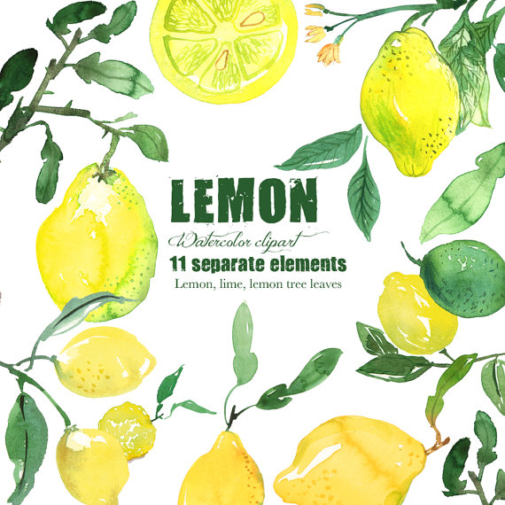 570x570 Lemons Clipart Painted ~ Frames ~ Illustrations ~ Hd Images - Lemon Watercolor Painting