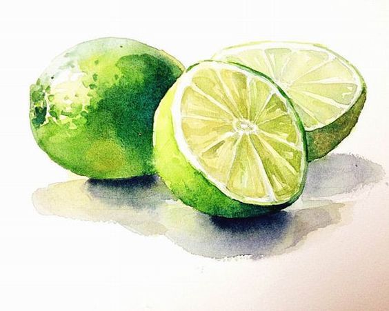 564x451 Watercolor Painting Lemon Watercolor Print Wall By Pinkleavesarts - Lemon Watercolor Painting