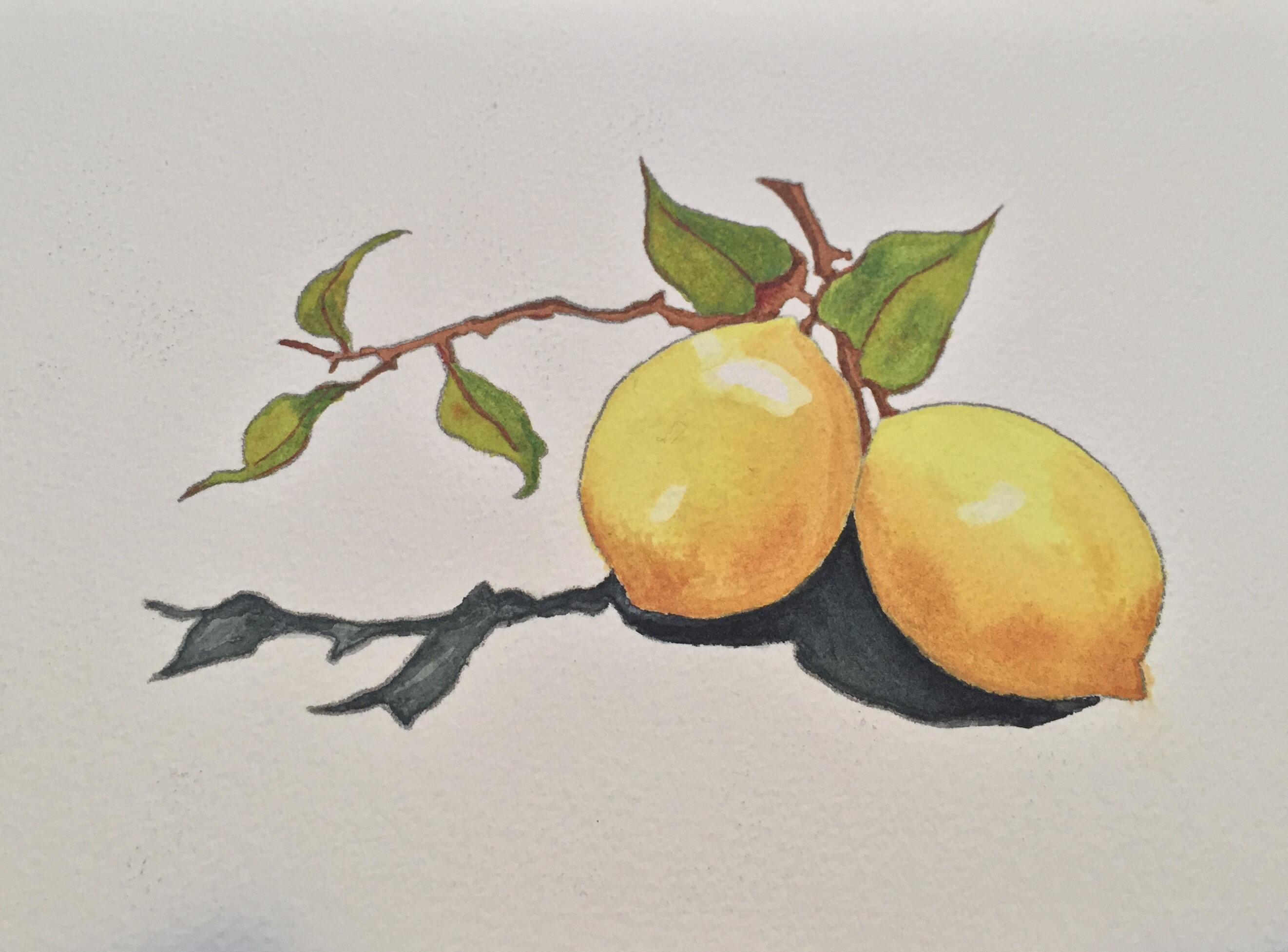 2643x1954 Lemons - Lemon Watercolor Painting