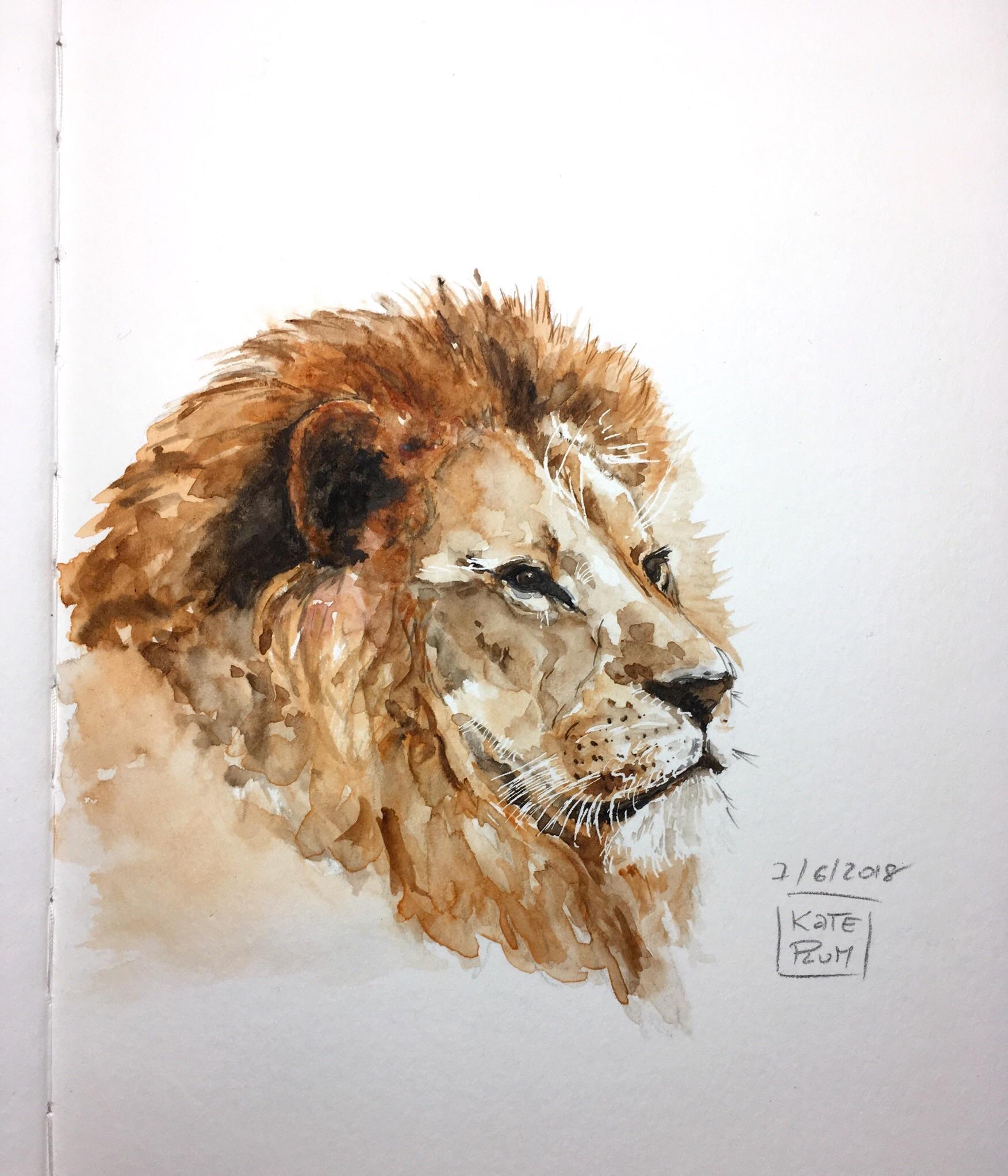 1753x2046 Small Watercolor Doodle For The Very End Of The Day Leo - Leo Watercolor