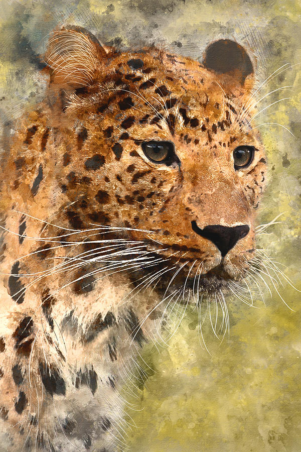 600x900 Leopard Watercolor Digital Art By Sharalee Art - Leopard Watercolor