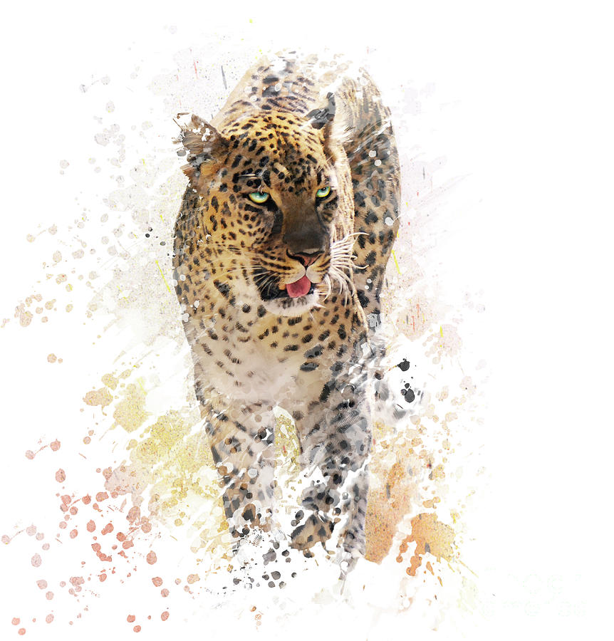 862x900 Leopard Watercolor Digital Art By Svetlana Foote - Leopard Watercolor