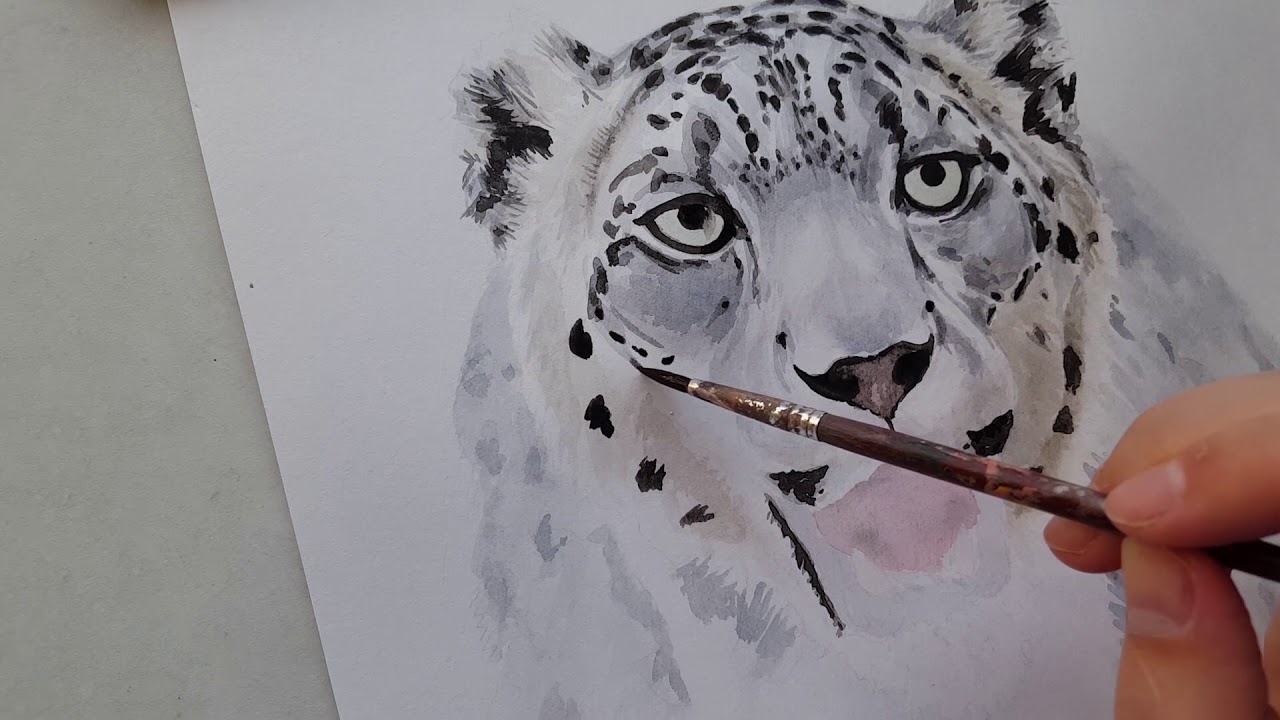 1280x720 Leopard Watercolor Painting - Leopard Watercolor