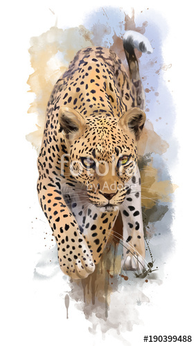 283x500 Leopard Watercolor Painting Stock Photo And Royalty Free Images - Leopard Watercolor