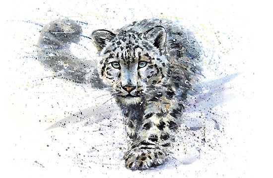 550x359 Snow Leopard Watercolor Posters By Kostart Redbubble - Leopard Watercolor
