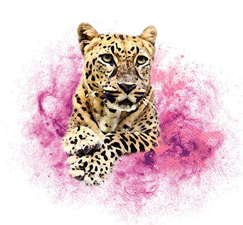 480x446 Youth Jade Leopard Watercolor Pink Tie Dye T Shirt - Leopard Watercolor