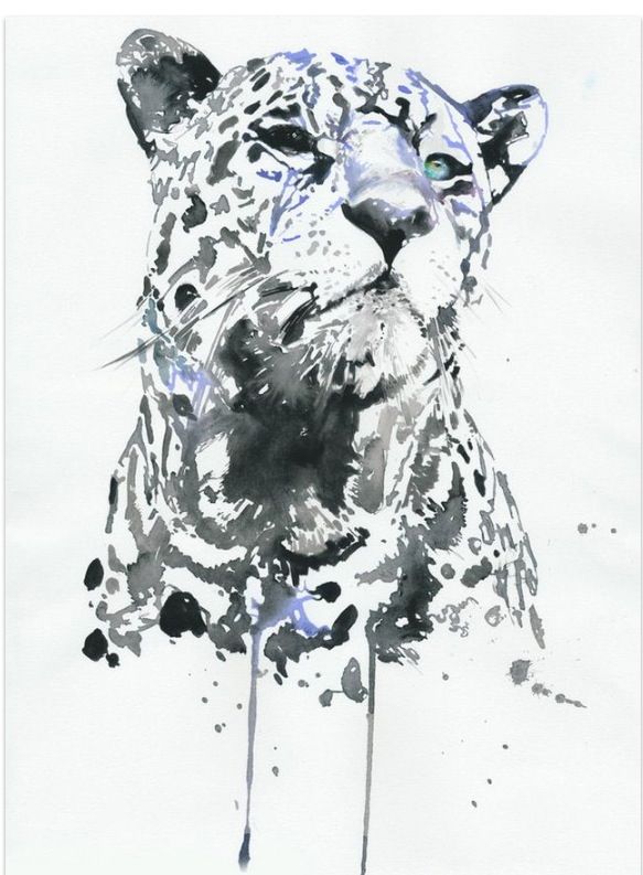 583x793 Watercolour - Leopard Watercolor