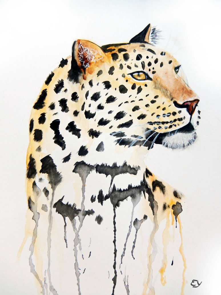 774x1032 Amur Leopard By Shycatgirl - Leopard Watercolor