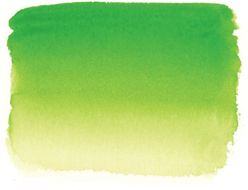 350x268 Sennelier Watercolour - Light Green Watercolor
