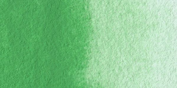 600x300 Cobalt Green Light [Pg50 Cobalt Green] Maimeri Blu Artist - Light Green Watercolor