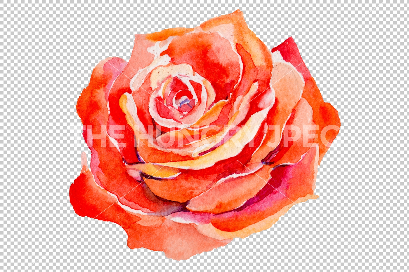 1400x933 Light Red Rose Png Watercolor Flower Set By Mystocks - Light Red Watercolor