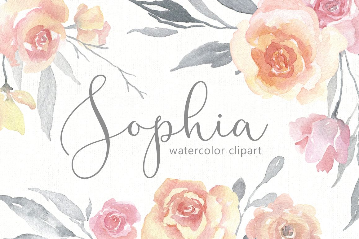 1158x772 Light Gentle Watercolor Pink Flowers Roses Png - Light Watercolor