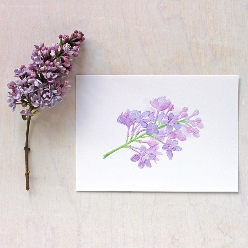 800x800 Lilac Sprig Watercolor Print Trowel And Paintbrush - Lilac Watercolor