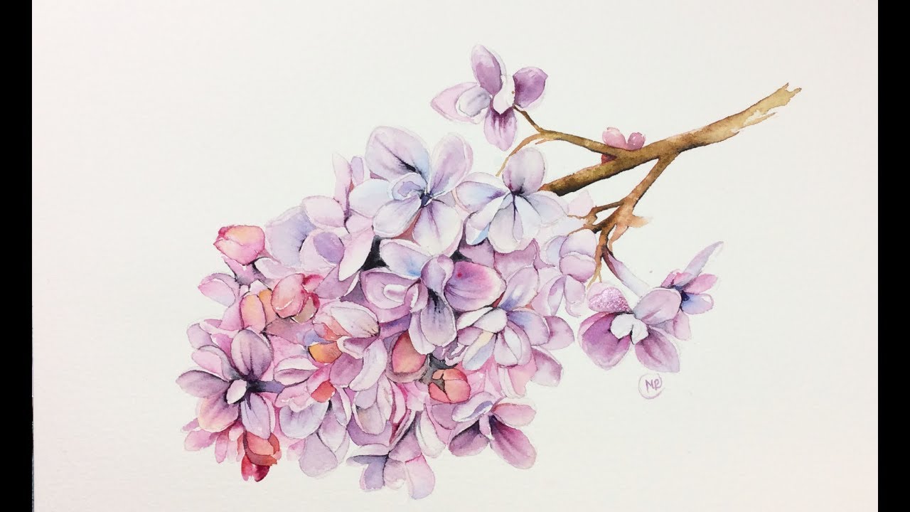 1280x720 Watercolor Lilac Flowers Painting Demonstration - Lilac Watercolor