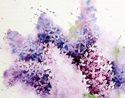 404x316 Watercolor Lilac In A Pot On Behance - Lilac Watercolor