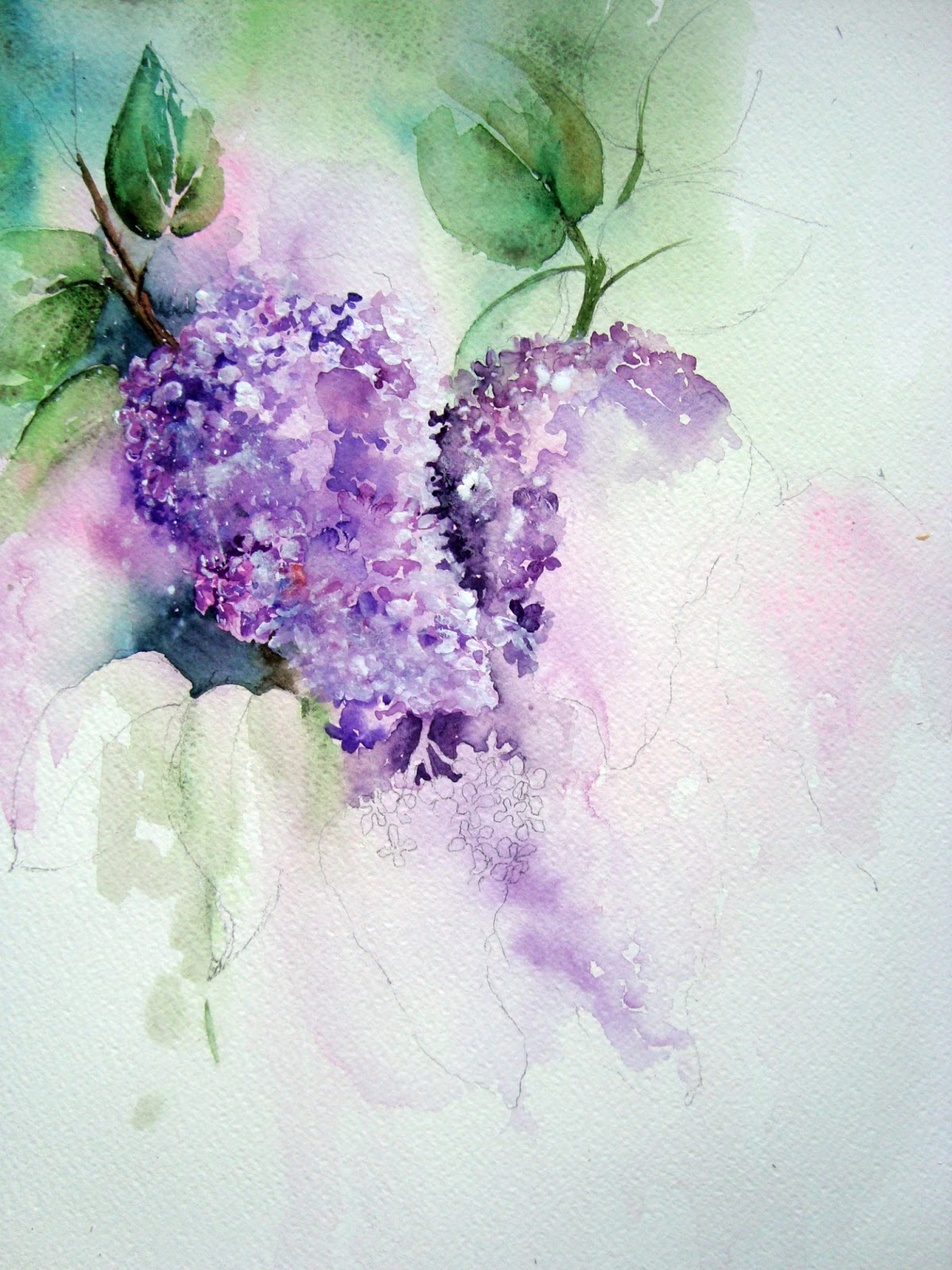 1200x1600 Watercolour Florals Lilac Blossom - Lilac Watercolor