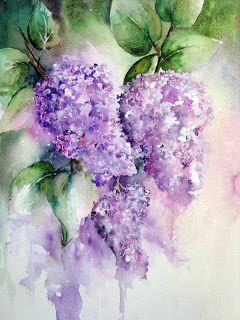 240x320 Lilacs Done In Watercolor But Wonder If In Acrylic It Would Work - Lilac Watercolor