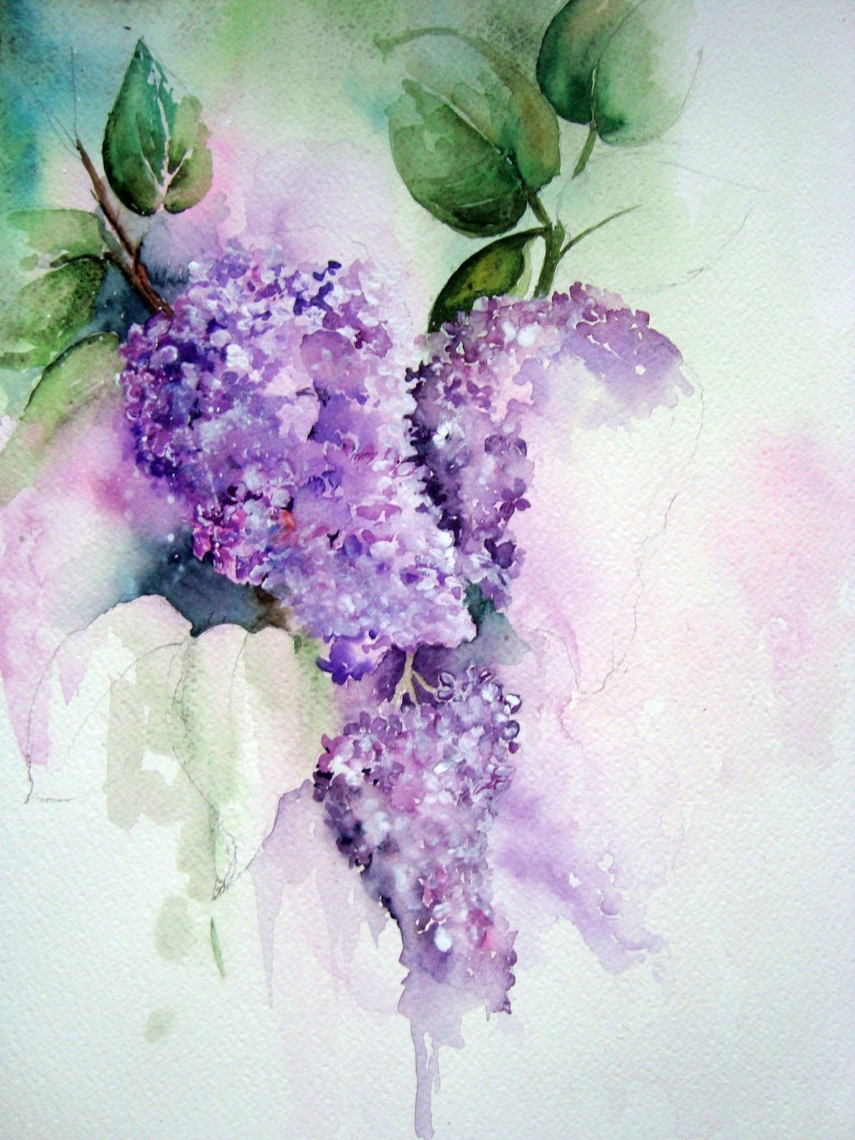 1200x1600 Watercolor Paintings Of Lilacs In This Photo You Can Just About - Lilac Watercolor