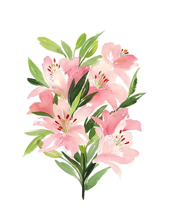 570x738 Handmade Watercolor Archival Art Print Lilies In Vertical - Lily Flower Watercolor