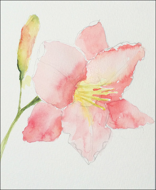 500x606 How To Paint Loose, Expressive Lilies In Watercolor - Lily Flower Watercolor