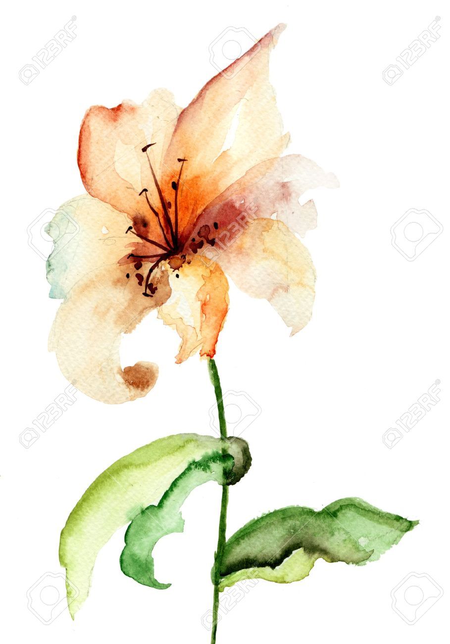 909x1300 Tiger Watercolor Tattoo Watercolor Tiger Lily Tattoo Watercolor - Lily Flower Watercolor
