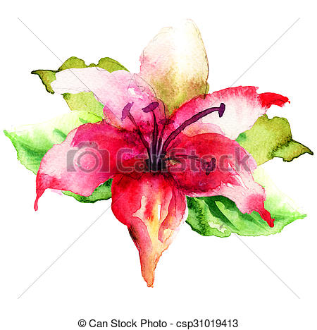 450x468 Decorative Lily Flower, Watercolor Illustration . - Lily Flower Watercolor