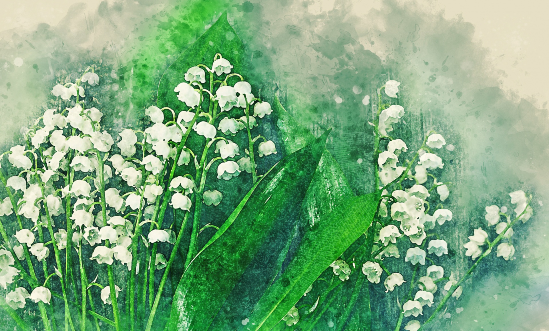 Карта lily of the valley