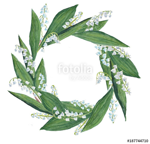 500x480 Watercolor Lily Of The Valley Wreath Stock Photo And Royalty Free - Lily Of The Valley Watercolor